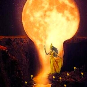 Meet your Posher, Transcencia's